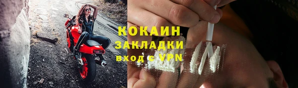 apvp Бородино
