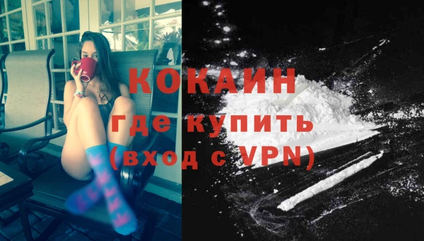 apvp Бородино