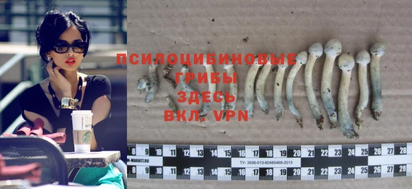 apvp Бородино
