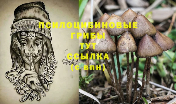 соль курить ск Бронницы