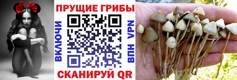 Псилоцибиновые грибы прущие грибы  площадка как зайти  Сретенск 